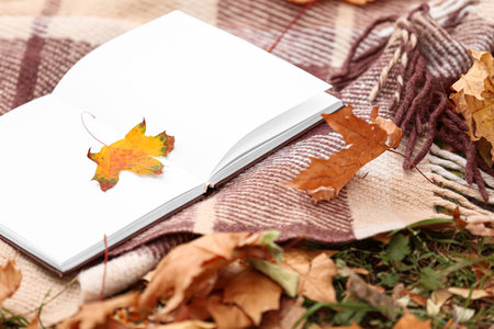 Opened book with blank pages and dry leaves on plaid in park, closeupの写真素材