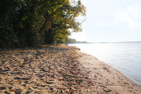 Bank of river with sand and green trees