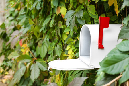 Vintage mailbox among green leaves outdoorsの写真素材
