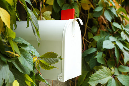 Vintage mailbox among green leaves outdoorsの写真素材