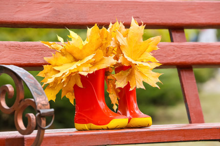 Pair of rubber boots with autumn leaves on bench, closeupの写真素材