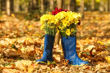 Pair of rubber boots with flowers in autumn parkの写真素材