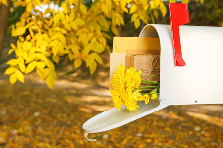 Mailbox with beautiful flowers, gift and envelopes in autumn parkの写真素材