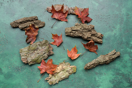 Autumn maple leaves and tree bark on color background