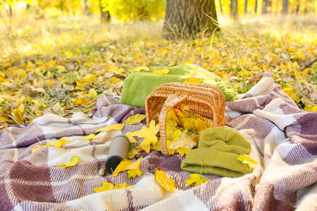 Stylish hat, thermo bottle and wicker basket on plaid in autumn parkの写真素材