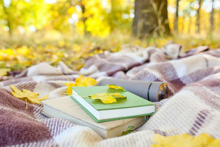 Books, thermo bottle and autumn leaves on plaidの写真素材