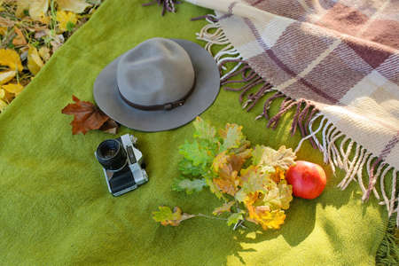Stylish felt hat, vintage photo camera and autumn leaves on plaid