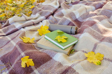 Books, thermo bottle and autumn leaves on plaid in park