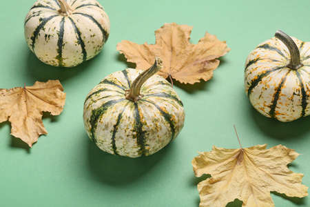 Whole fresh pumpkins with dried leaves on green background