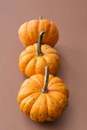 Whole fresh pumpkins on brown backgroundの写真素材