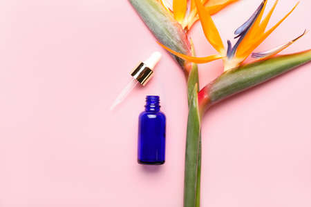 Cosmetic dropper bottle and strelitzia flowers on pink backgroundの写真素材