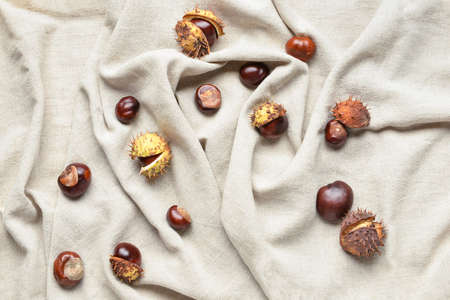 Fresh chestnuts on fabric backgroundの写真素材