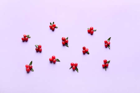 Red lingonberries with leaves on lilac backgroundの写真素材