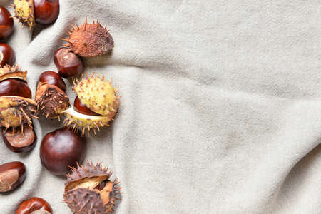Fresh chestnuts on fabric background, closeupの写真素材
