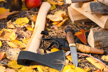 Tourist's ax, knife and firewood in autumn forestの写真素材