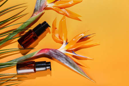 Bottles of cosmetic product, strelitzia flowers and palm leaf on color backgroundの写真素材