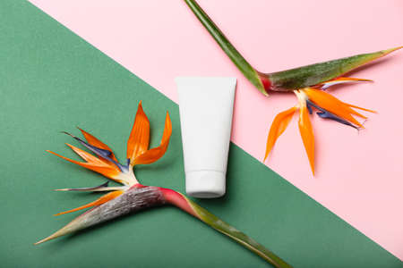 Tube of cosmetic product and strelitzia flowers on color backgroundの写真素材