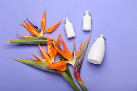Bottles of cosmetic products and beautiful strelitzia flowers on lilac backgroundの写真素材
