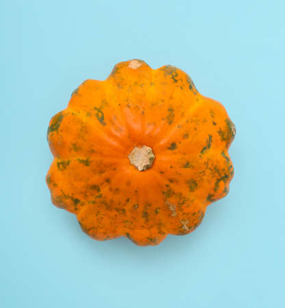 Ripe beautiful pumpkin on blue background