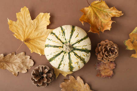 Ripe beautiful pumpkin, fir cones and leaves on brown backgroundの写真素材