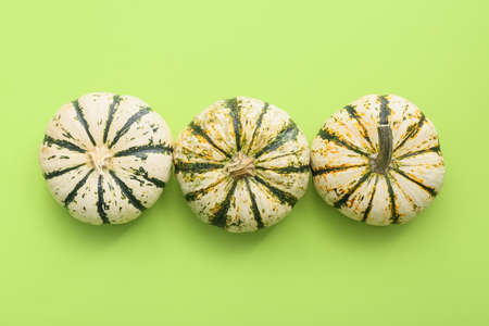 Ripe beautiful pumpkins on green background