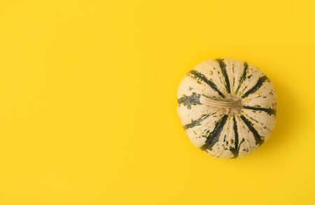 Ripe beautiful pumpkin on yellow background