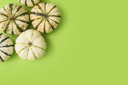 Ripe beautiful pumpkins on green backgroundの写真素材