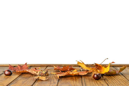 Beautiful autumn leaves on wooden table against white background