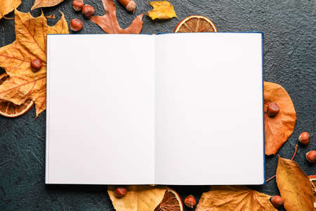 Opened book with blank pages and autumn decor on dark background