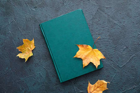 Book and autumn leaves on dark backgroundの写真素材