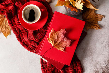 Stack of books, knitted scarf, cup of coffee and vase with autumn leaves on light background