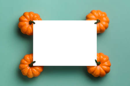 Blank paper sheet with pumpkins on blue background