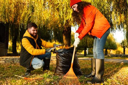 Couple gathering autumn leaves outdoors