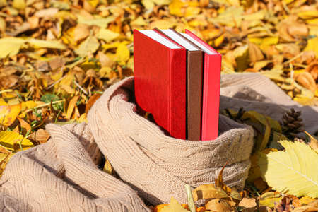 Books and knitted scarf in autumn parkの写真素材