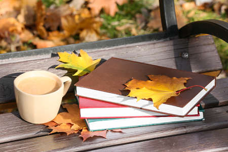 Stack of books and cup of coffee on bench in autumn parkの写真素材
