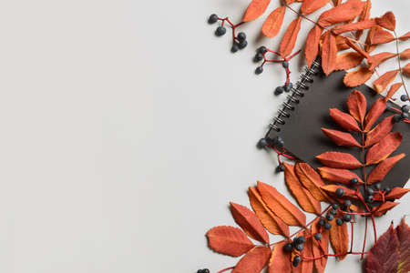 Notebook with plant branches and berries on light background