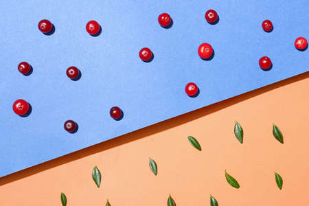 Ripe lingonberry and leaves on color background