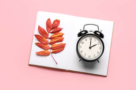Alarm clock, notebook and autumn leaves on color backgroundの写真素材