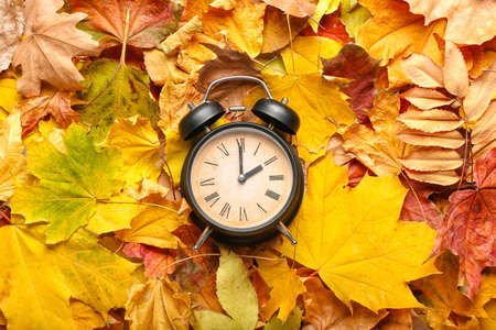 Alarm clock on autumn leaves. daylight saving time endの写真素材