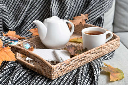 Tray with tea pot, cup of hot beverage and autumn leaves on sofaの写真素材