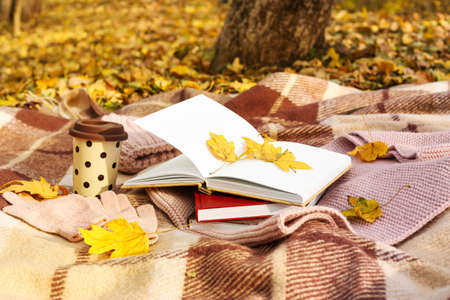 Stack of books, cup with drink and golden leaves on plaid in autumn parkの写真素材