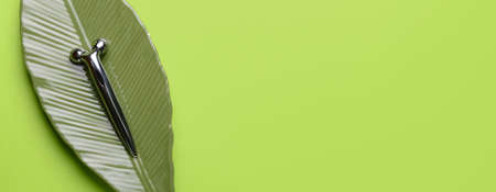 face massage roller on green background with space for textの写真素材