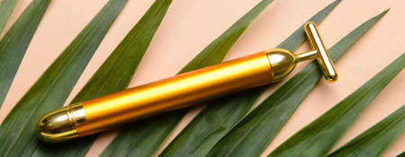 Face massage roller and tropical leaf on color backgroundの写真素材
