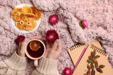 Female hands with cup of tea, dried fruits and flowers on fabric backgroundの写真素材