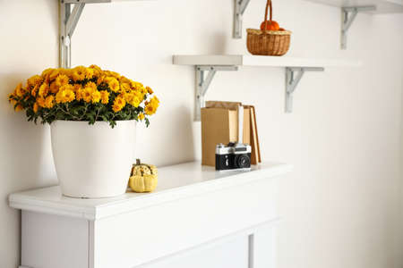 Fireplace with flowers in vase, books and photo camera near light wallの写真素材