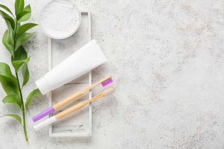 Bamboo toothbrushes, paste, powder and plant branch on grunge background