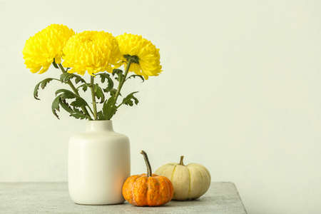 Vase with yellow chrysanthemum flowers and pumpkins against light wall