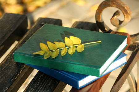 Books and autumn leaves on bench on sunny dayの写真素材