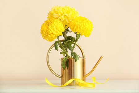 Watering can with yellow chrysanthemum flowers on table in roomの写真素材