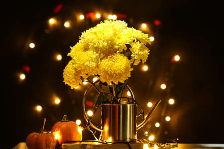 Water can with yellow chrysanthemum flowers, glowing lights and pumpkins on table in dark roomの写真素材